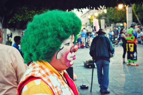 photography of clown with green hair