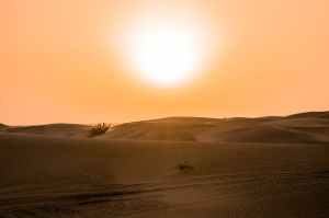 desert under yellow sunset